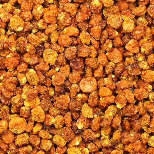 Organic Dried Inca Berries