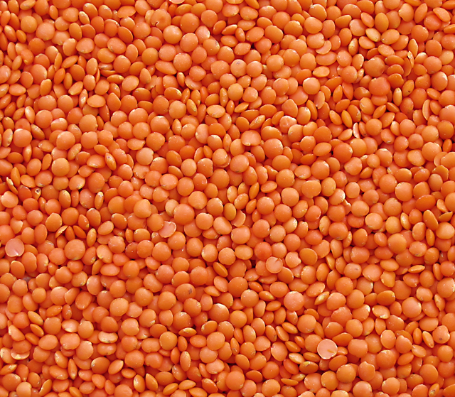Organic Red Lentils
