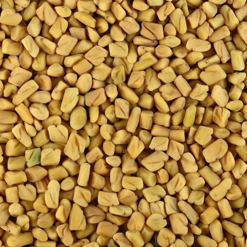 Organic Fenugreek Seeds