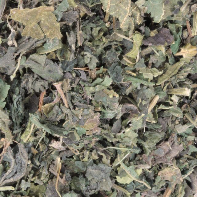 Organic Nettle