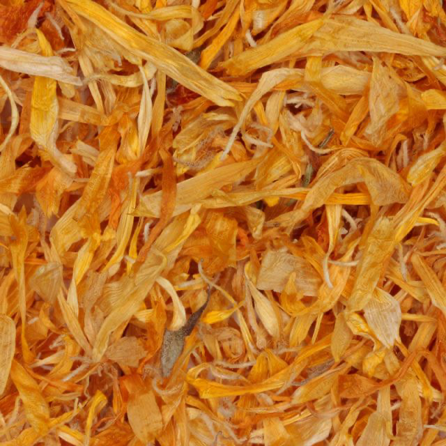 Organic Calendula (Marigold)