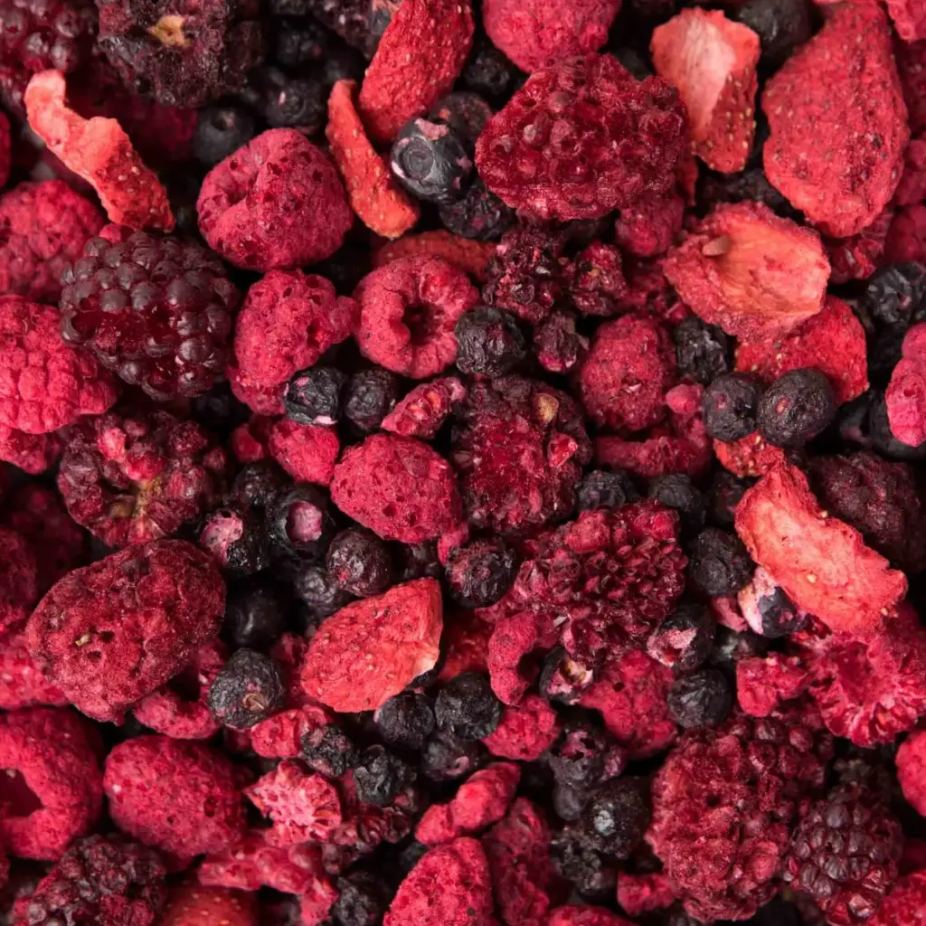 Organic Freeze-Dried Forest Fruit Mix