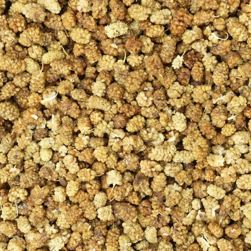Organic Dried Mulberries