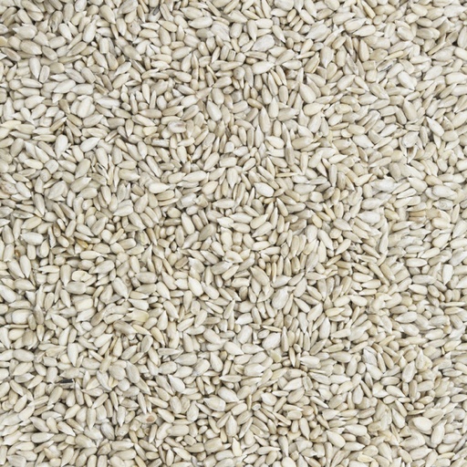 Sunflower Seeds