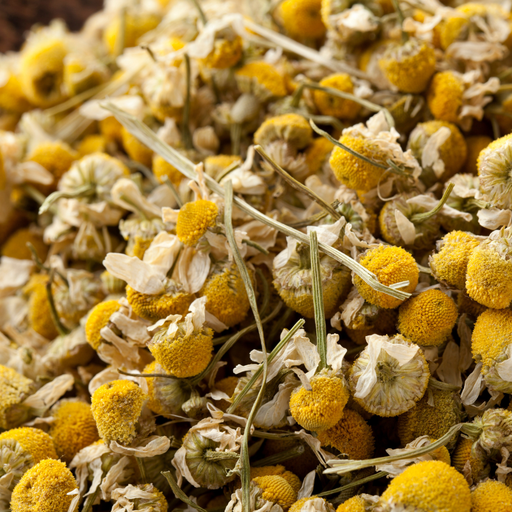 Organic Chamomile