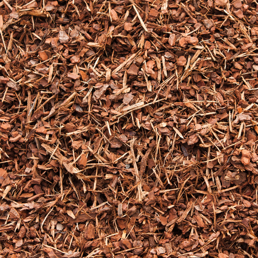 Organic Rooibos