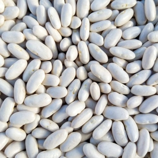 Organic Cannellini Beans