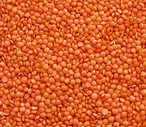 Organic Red Lentils